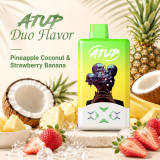 ATUP 2 in 1 , Rechargeable Disposable Vape Pen 2% Nic,LED Display,2*30 ML E-Liquid Electronic Cigarette Vaporizer
