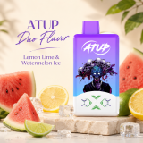 ATUP 2 in 1 , Rechargeable Disposable Vape Pen 2% Nic,LED Display,2*30 ML E-Liquid Electronic Cigarette Vaporizer