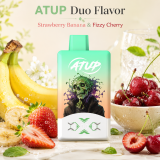 ATUP 2 in 1 , Rechargeable Disposable Vape Pen 2% Nic,LED Display,2*30 ML E-Liquid Electronic Cigarette Vaporizer