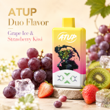ATUP 2 in 1 , Rechargeable Disposable Vape Pen 2% Nic,LED Display,2*30 ML E-Liquid Electronic Cigarette Vaporizer