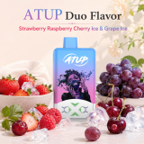 ATUP 2 in 1 , Rechargeable Disposable Vape Pen 2% Nic,LED Display,2*30 ML E-Liquid Electronic Cigarette Vaporizer