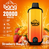 BANG 20000 Puff Dual Mesh Rechargeable Disposable Vape 28ml