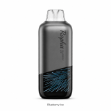 Rapha NEO 15000 Puffs Rechargeable Disposable Vape – 3000mAh Dual Mesh