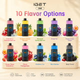 IGET One 12000 Puffs Disposable Vape 10 flavor options