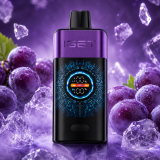 IGET One 12000 Puffs Disposable Vape 18ml Dual Mesh LED Display