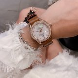 注目度NO.1オメガ 時計 コピー レディース 自動巻き 2色