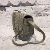 2019秋冬高品質ゴヤール（GOYARD）☆レディース ショルダーバッグコピー☆数量限定発表！お見逃しなく！