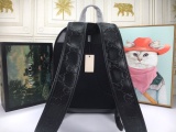 グッチバッグコピー 2023新品注目度NO.1 GUCCI 男女兼用 バックパック