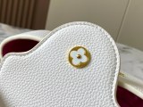 売上総額１位！2024 ルイヴィトン 新作ハンドバッグスーパーコピーM22122