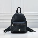 【大特価】2024 コーチ 新作 バックパック スーパーコピー F28995