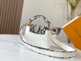 日本未入荷 ルイヴィトン レディース ハンドバック 偽物 M95509