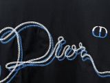 超希少！2026 ディオール 新作 半袖Tシャツ 偽物