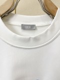 一目惚れ♪ 2026 ディオール 新作 半袖Tシャツ コピー 3色