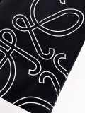 一目惚れ♪ 2026 ロエベ 新作 半袖Tシャツ スーパーコピー