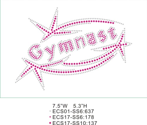 Team sparkle wear T37 Gymnast