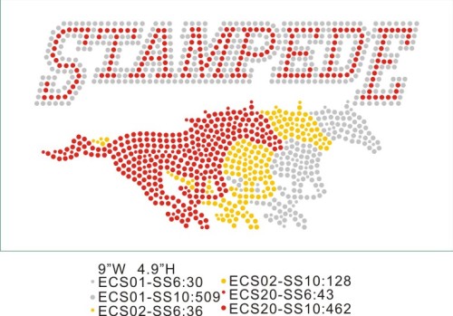 Show-stopping sparkle T50 Stampede