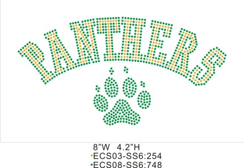 Heat press mom apparel T53 Panthers