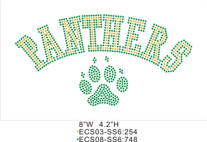 Heat press mom apparel T53 Panthers