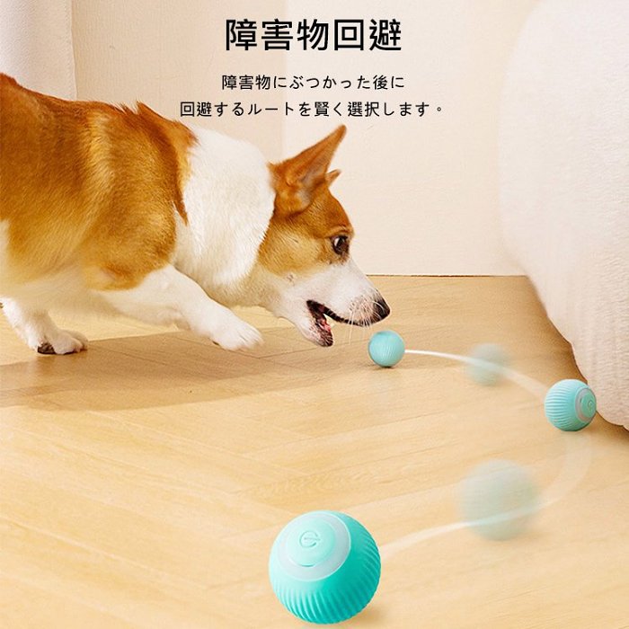 猫や犬のお留守番・運動不足解消・ ストレス発散に！USB充電式のペット用ボール。