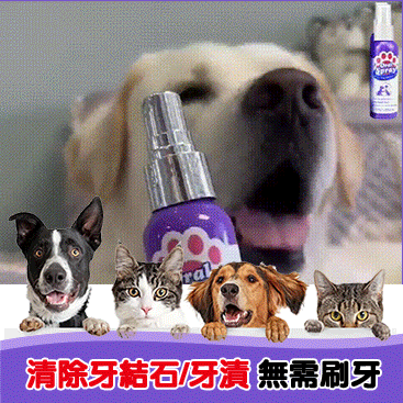 貓狗牙齒清潔噴霧-改善口臭、口炎问题
