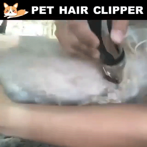 🐶Noise-Free Design  Pet Hair Clipper