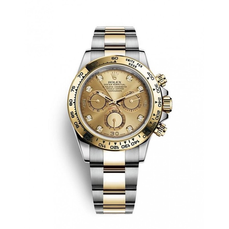 116503 Cosmo daytonia oyster, 40mm oyster Steel & Yellow Gold