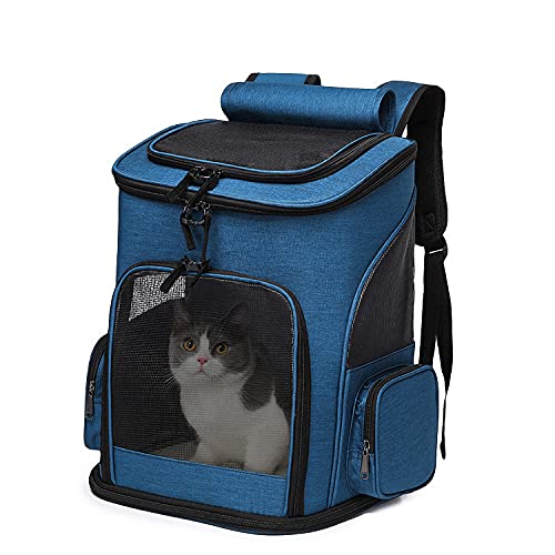 kitten carrier backpack