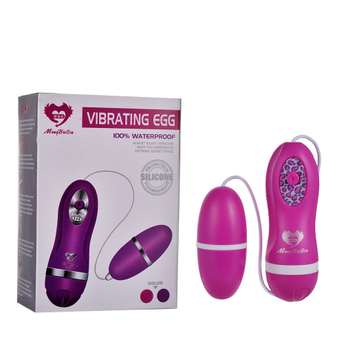 Vibrating Love Egg Massager Vibrator