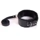 Leather Ring Collar with Leash