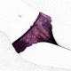 Lace Low Waist Transparent Seamless Panties