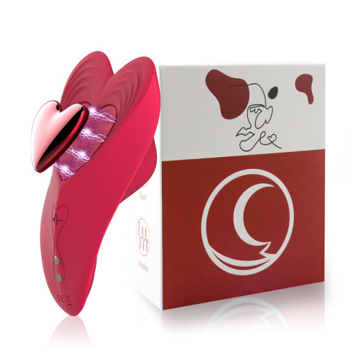 App Controlled Magnetic Wearable Panty Vibrator