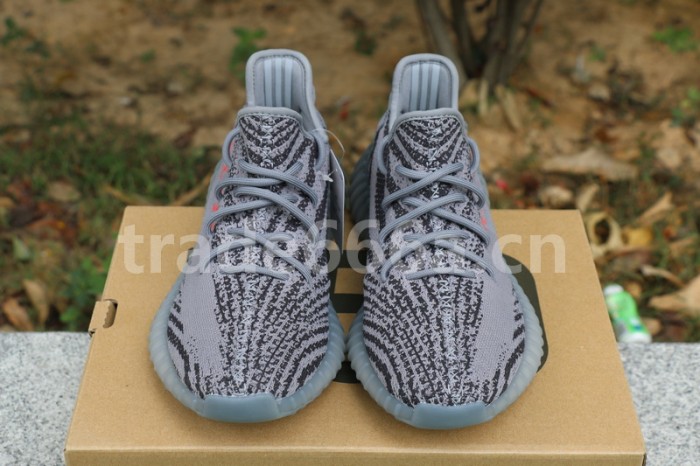 Authentic AD Yeezy Boost 350 V2 “Beluga 2.0”