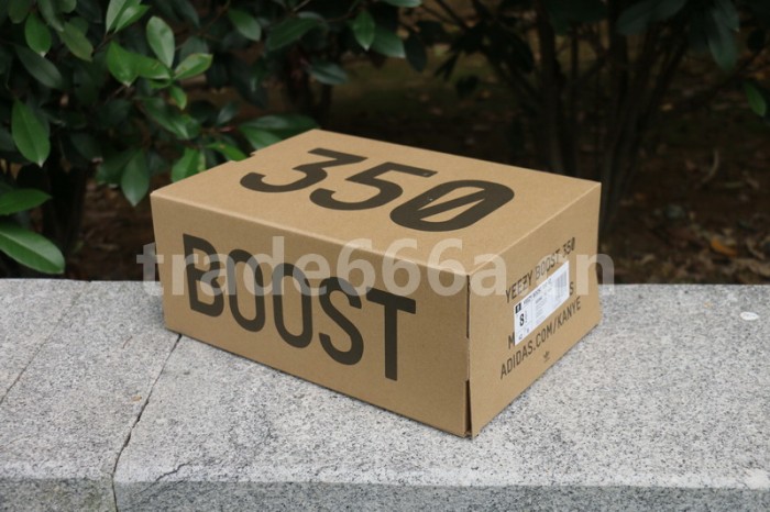 Authentic Yeezy 350 V2 True Form Lime