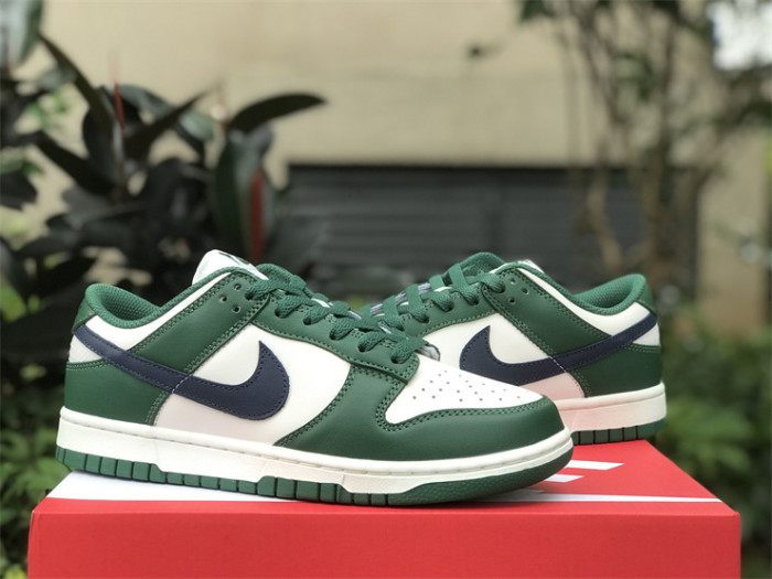 Authentic Nike Dunk Low DD1503-300