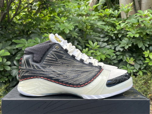 Authentic  Titan x Air Jordan 23 Retro SP 10th Anniversary