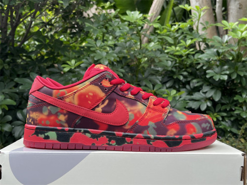 Authentic  The Wizard of Oz x Nike SB Dunk Low“RubySlipper”