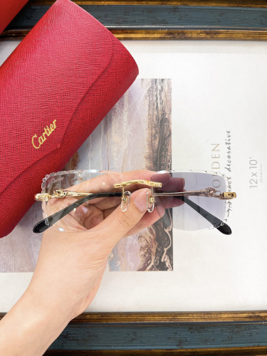 Cartier Sunglasses AAAA-7104