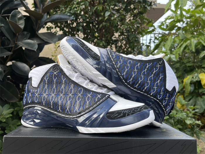 Authentic  Air Jordan 23 Motorsports Wizards