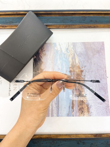 YL  Sunglasses AAAA-1055