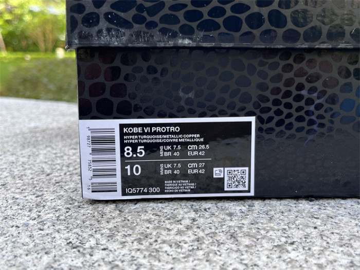 Authentic Jalen Brunson's Nike Kobe 6  Statue of Liberty  PE