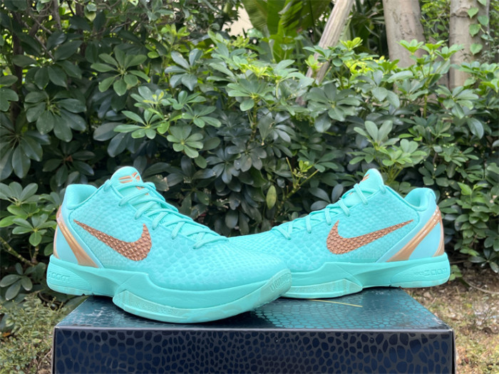 Authentic Jalen Brunson's Nike Kobe 6  Statue of Liberty  PE