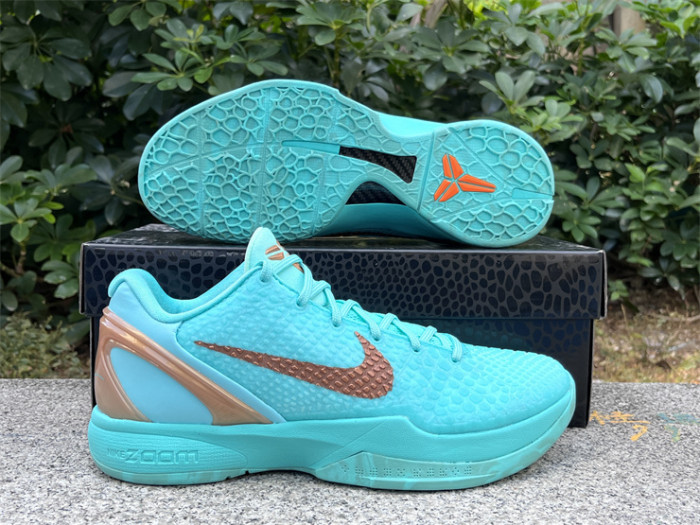 Authentic Jalen Brunson's Nike Kobe 6  Statue of Liberty  PE