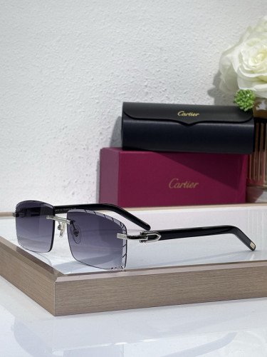 Cartier Sunglasses AAAA-10304