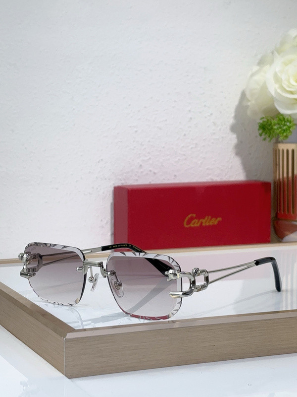 Cartier Sunglasses AAAA-11080