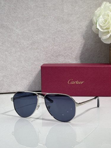 Cartier Sunglasses AAAA-14104
