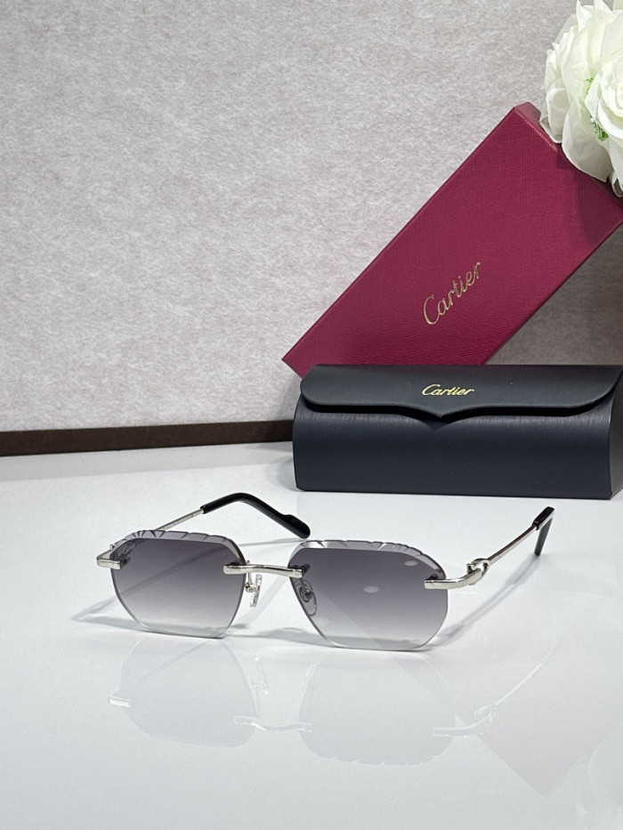 Cartier Sunglasses AAAA-13310