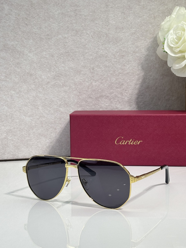Cartier Sunglasses AAAA-14101
