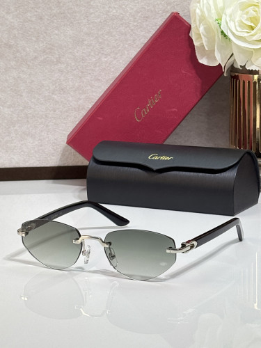 Cartier Sunglasses AAAA-13386