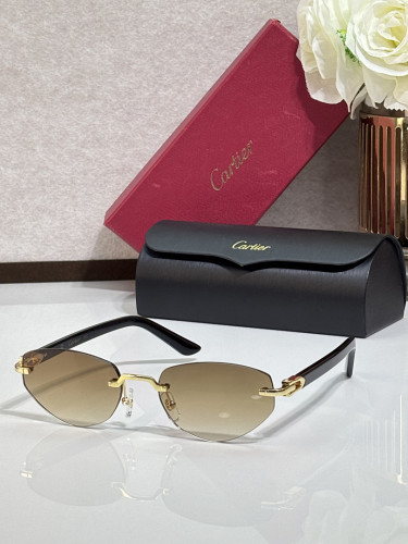 Cartier Sunglasses AAAA-13390
