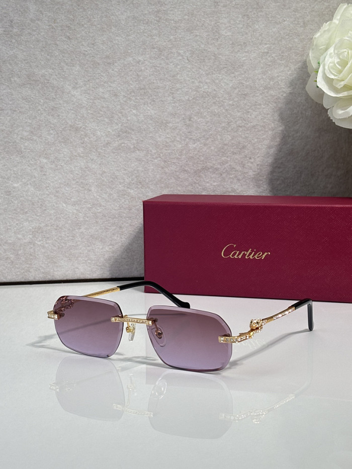 Cartier Sunglasses AAAA-14582